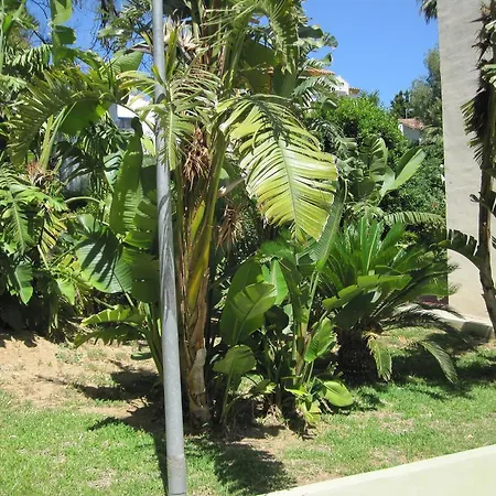 Appartement Fan Flat *